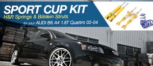 AUDI B6 A4 1.8T Quattro Sport Cup Kit